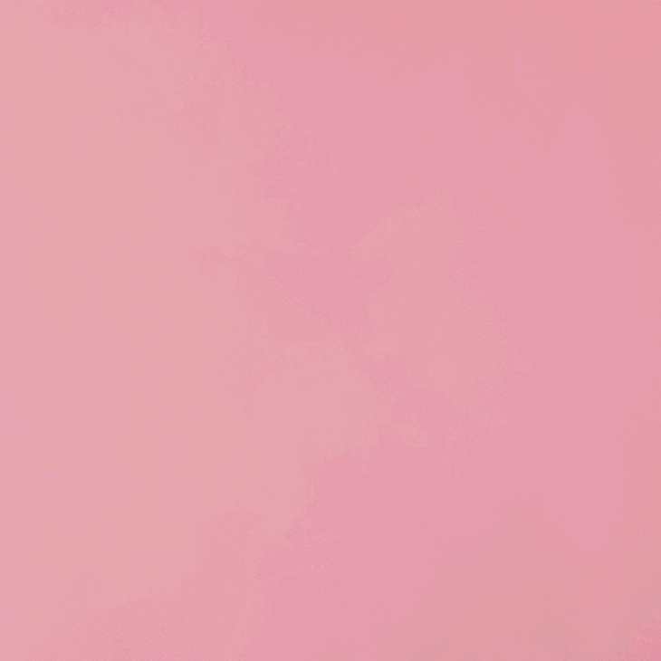 Sofía Mondaca García